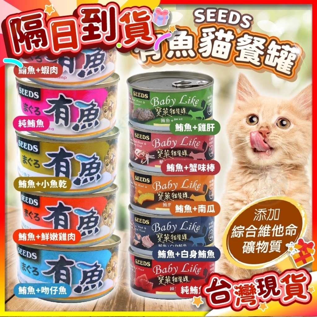 貓貓