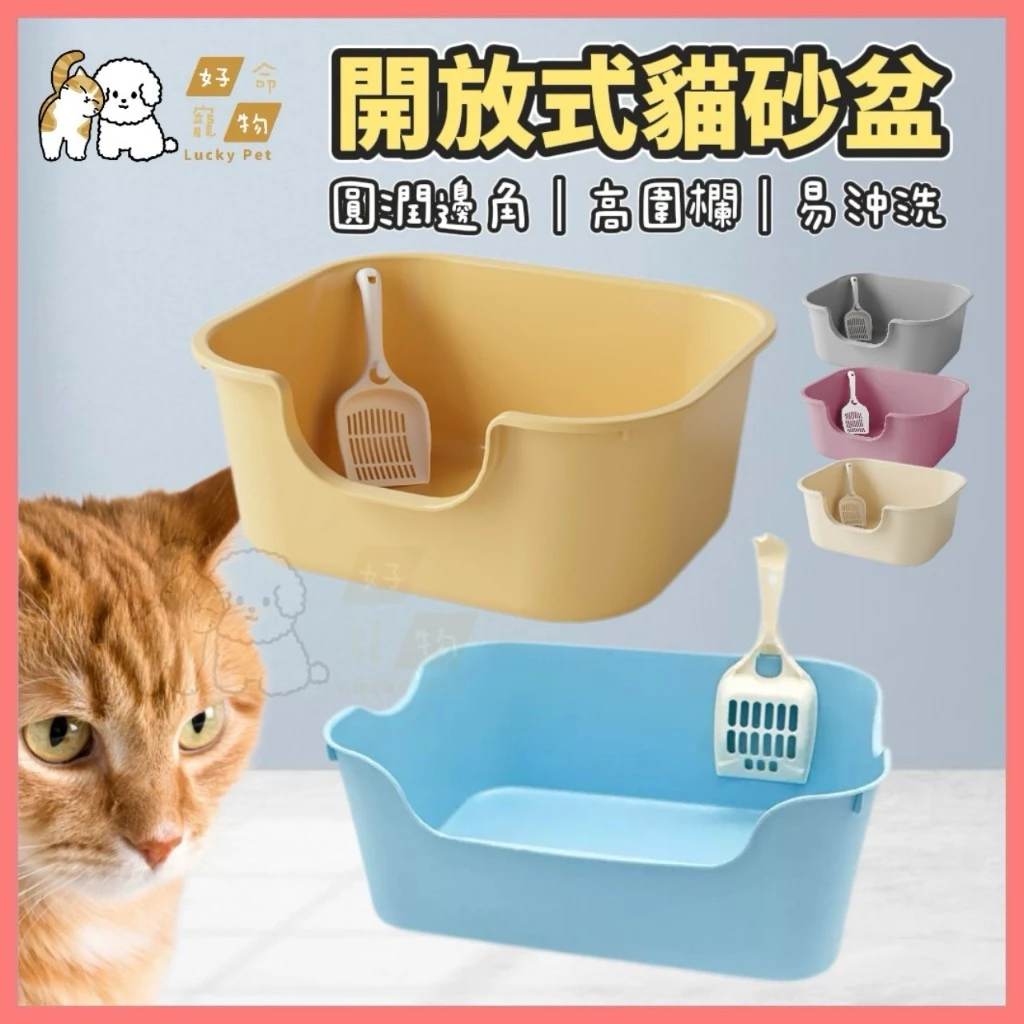 幼貓小貓砂盆